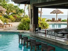 Swim Up Pool Bar Ideas