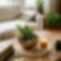 15 Coffee Table Centerpiece Ideas to Elevate Your Decor