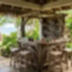 Lanai Bar Ideas