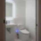 Bar Bathroom Ideas