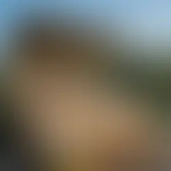 Simple Outdoor Bar Ideas