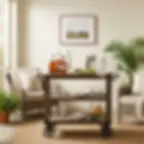 Lanai Bar Ideas
