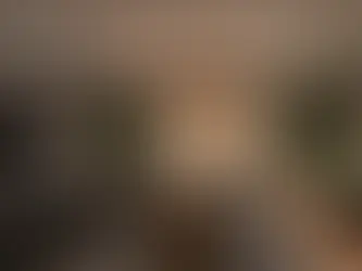 Finished Basement Ideas with Bar