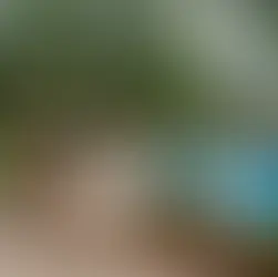 Above Ground Pool Deck Ideas with Bar