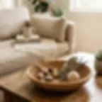 Coffee Table Decorative Bowl Ideas