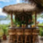 Lanai Bar Ideas