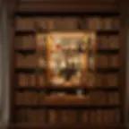 Bookshelf Bar Ideas