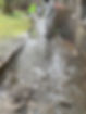 wash wizard work.jpg