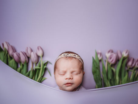 Newborn Photography Services in Medford