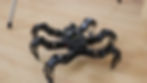 Spider robot 9