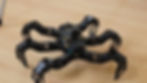 Spider robot 7