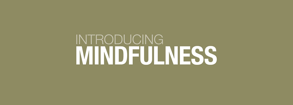 International School of Mindfulness Introduction course