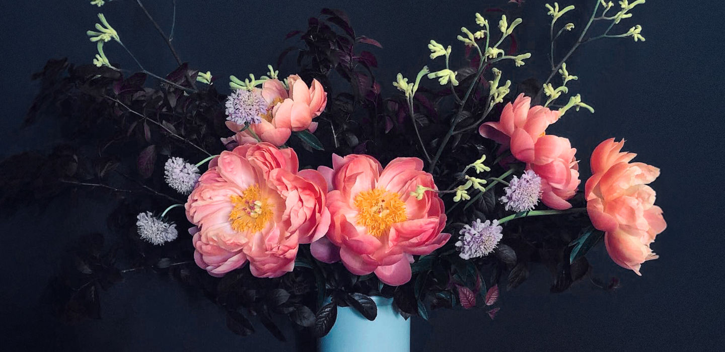 Nebluma flower arrangement in Perth Hills