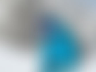 Skijas versus Modder, Schnapps en Taco-vulling: Wie wint?