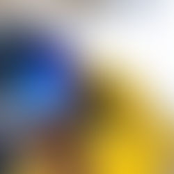 Gepolariseerde sneeuwbrillen: Zie de sneeuw in een nieuw licht