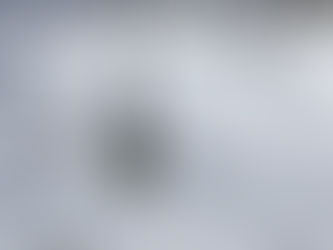 Zwitsers doneren geld voor skiliften: hoe skigebieden omgaan met het gebrek aan sneeuw.