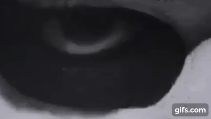 gif (52).gif