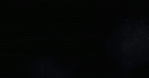 bsc logo gif.gif
