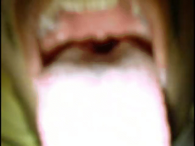 Sequence 01_2.gif