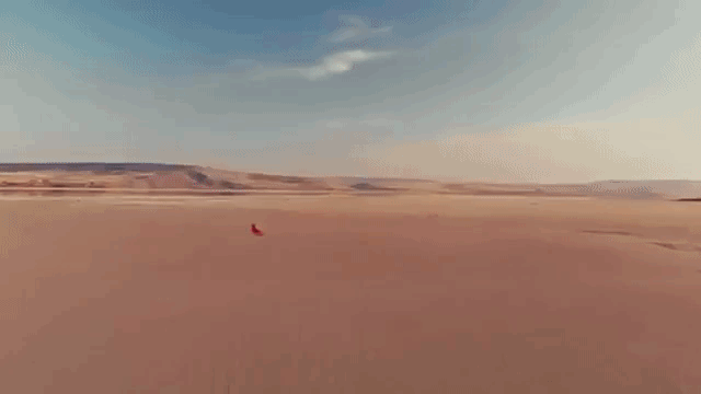 gif (97).gif