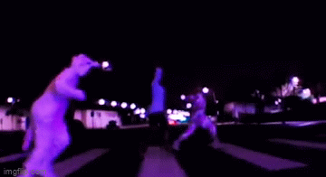 7anb8h.gif