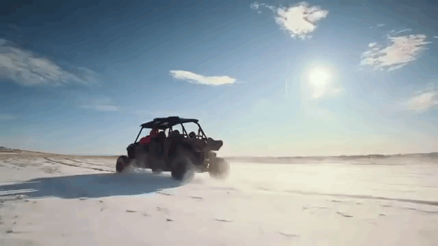 gif (21).gif