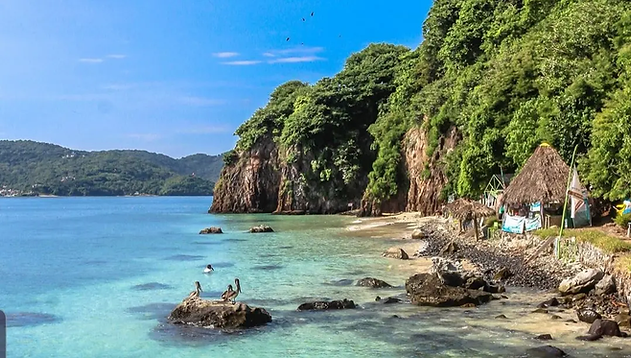 isla del coral guayabitos.webp