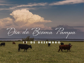 Hoje, dia 17 de dezembro, é o “Dia do Bioma Pampa”