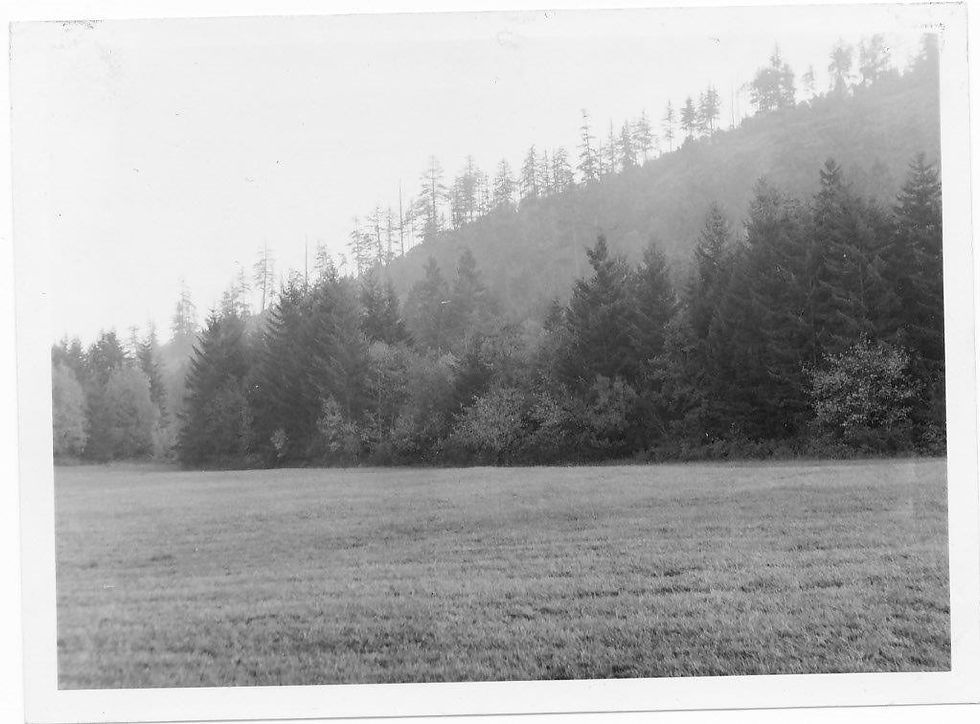 Hayfield and Copley Ridge