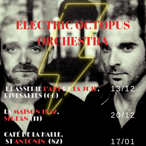 Live, Electric Octopus Orchestra (Fatcat records) prochaines dates 2019/2020.