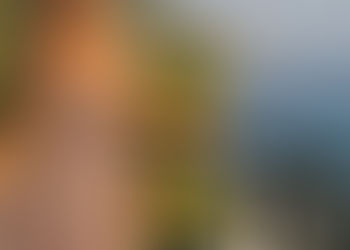 Meet Jessica Martins