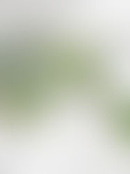 서울특별시 재개발 기획설계공모 당선