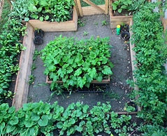 KeyholeGardenPic.jpeg