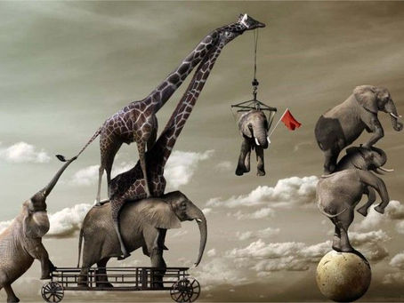 YUI THE LEAF PILER & THE LOST TRIBES OF OD