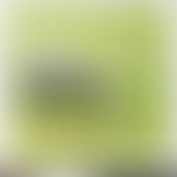 Cut Files by Allison | Grass Background