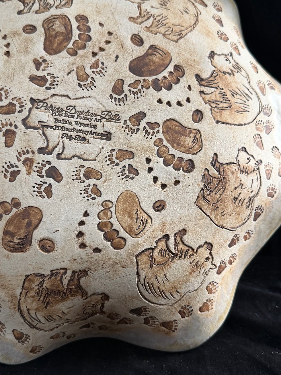 Thumbnail: Northern Lights Black Bear Bowl 