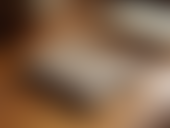 Lemonの不動産投資サービスの特徴