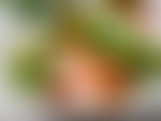 METABOLISMO LENTO- DESAYUNO DEFICIENTE