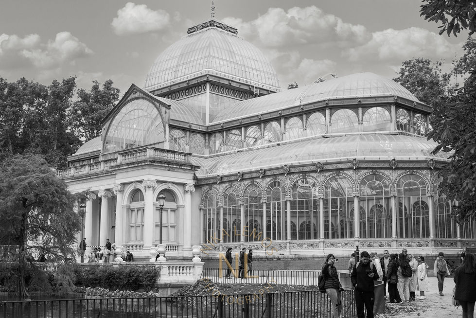 NL7_4947 p&bTest 80 prozent.jpg