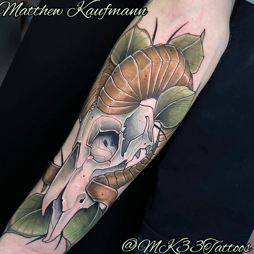 Matthew Kaufmann