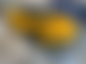 EDX Lotus Driving eXperience Day at VIMC