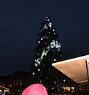 IMG_6612.JPG