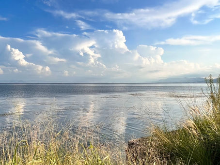 いのち溢れる喜びを