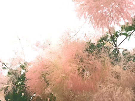 男性の更年期障害？