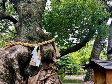 わたしは「回復系」だった