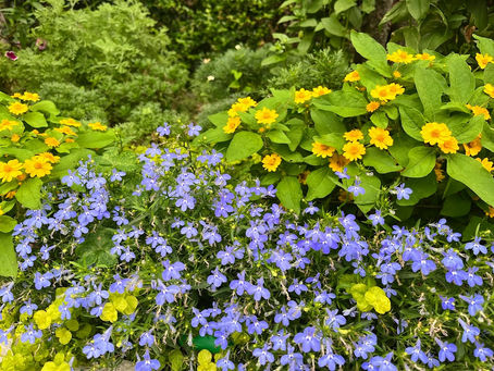 子宮が子宮を呼んでいる