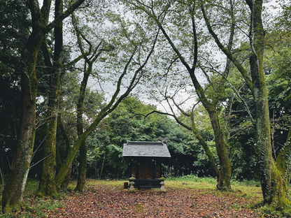 ただ静かにこのときを待っていた