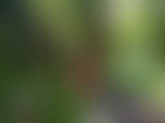 人生のカーナビを装備する
