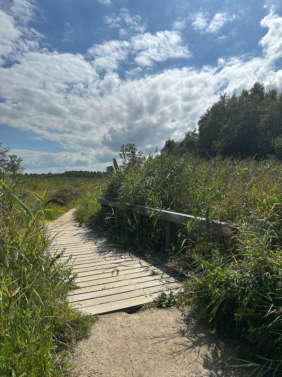 Vitaliteitsbeleid, een 'nice to have' of 'need to have'