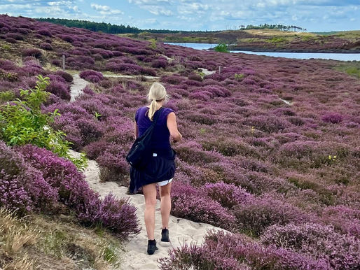 De invloed van de natuur op je vitaliteit